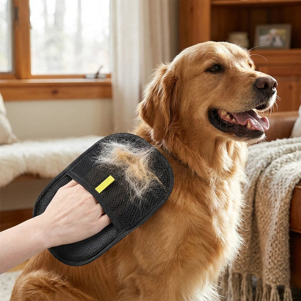 Pet Deshedding Glove — The Reason Your Couch Still Looks Hairy