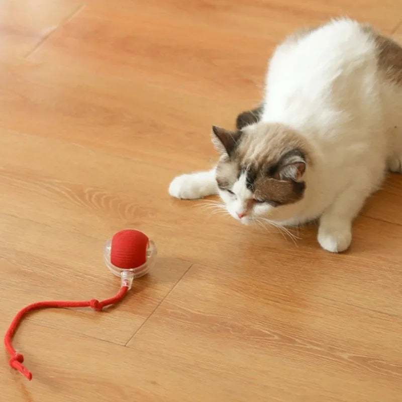 Cat Interactive Ball Toy,Automatic Rolling Cat Ball Rechargeable,Smart Kitten Interactive Toy