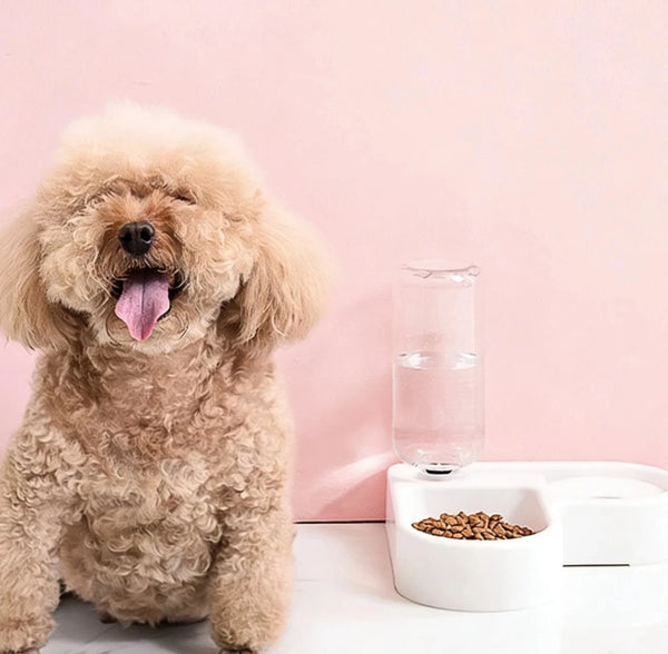 Double Dog and Cat Bowl-Pet and Food Automatic Water Refill System
